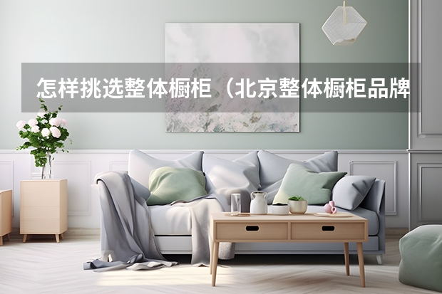 怎样挑选整体橱柜（北京整体橱柜品牌排行）
