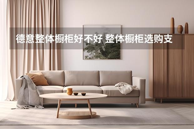 德意整体橱柜好不好 整体橱柜选购支招