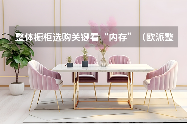 整体橱柜选购关键看“内存”（欧派整体橱柜效果图）