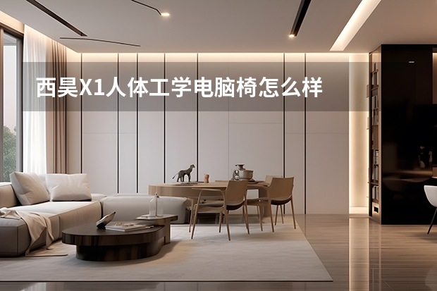 西昊X1人体工学电脑椅怎么样