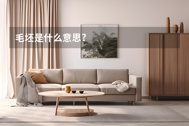 毛坯是什么意思?