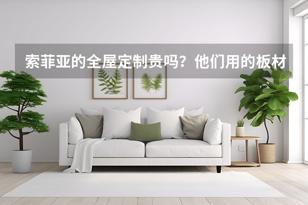 索菲亚的全屋定制贵吗？他们用的板材是什么样的？