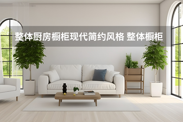 整体厨房橱柜现代简约风格 整体橱柜：让你的厨房焕然一新