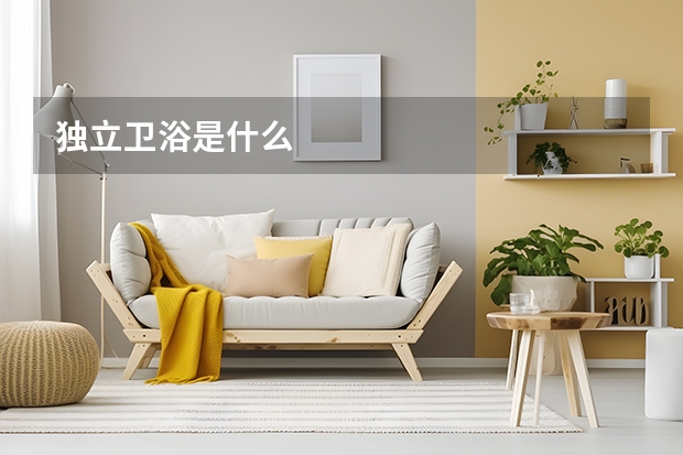 独立卫浴是什么