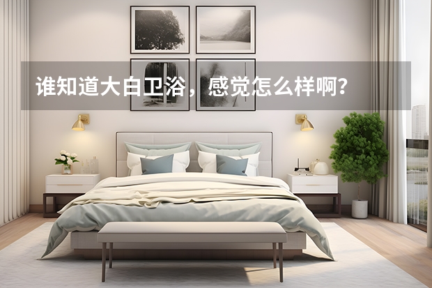 谁知道大白卫浴，感觉怎么样啊？