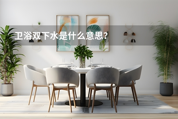 卫浴双下水是什么意思?