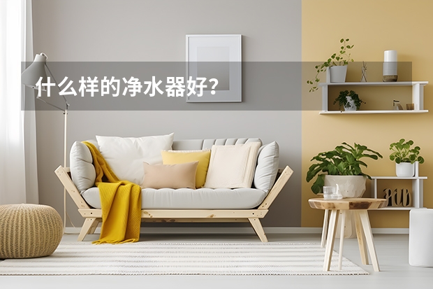 什么样的净水器好?