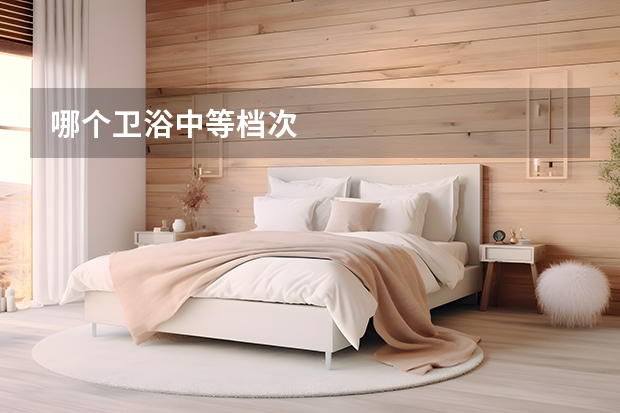 哪个卫浴中等档次