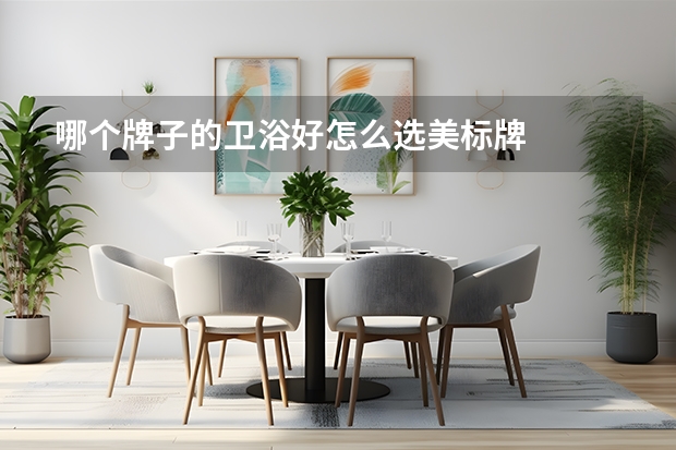 哪个牌子的卫浴好怎么选美标牌