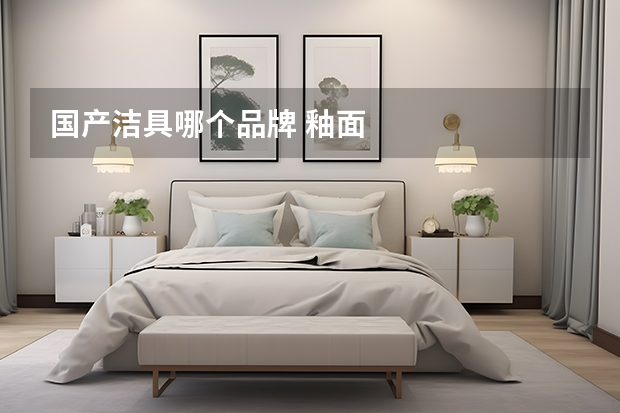 国产洁具哪个品牌 釉面