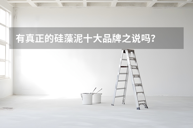 有真正的硅藻泥十大品牌之说吗?