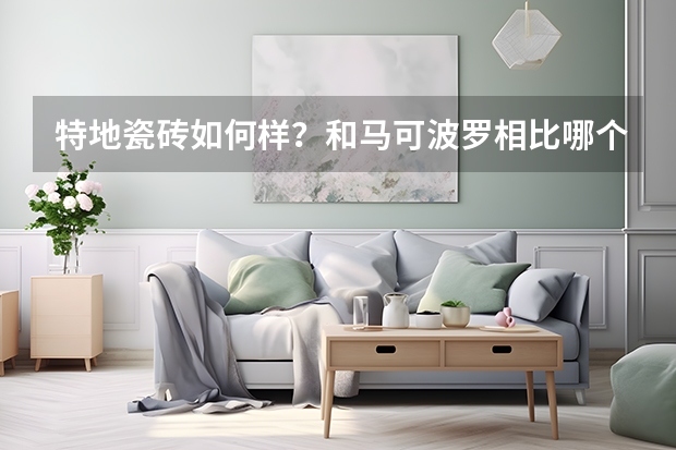 特地瓷砖如何样?和马可波罗相比哪个牌子更好?哪款值得信赖的