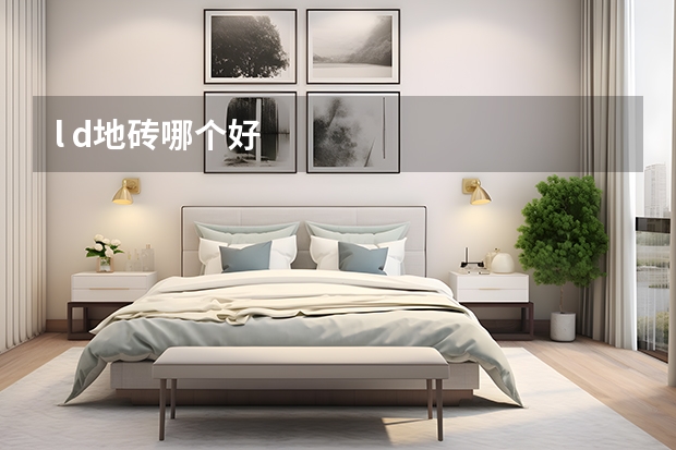 l d地砖哪个好