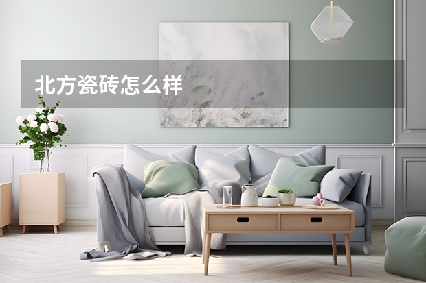 北方瓷砖怎么样