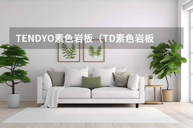 TENDYO素色岩板（TD素色岩板）质量如何?TENDYO瓷砖怎么样?