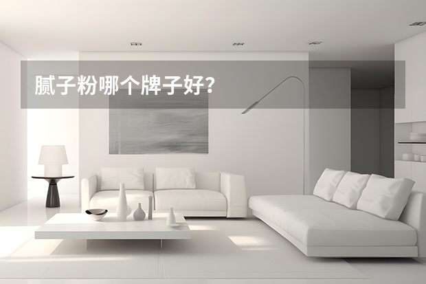 腻子粉哪个牌子好?