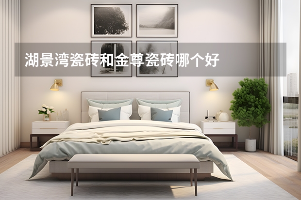 湖景湾瓷砖和金尊瓷砖哪个好