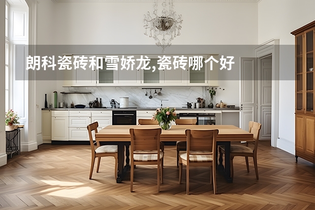 朗科瓷砖和雪娇龙,瓷砖哪个好