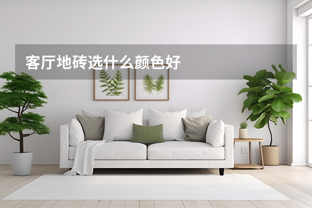 客厅地砖选什么颜色好