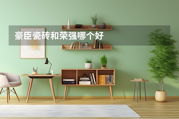 豪臣瓷砖和荣强哪个好