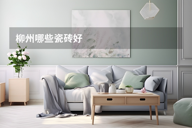 柳州哪些瓷砖好