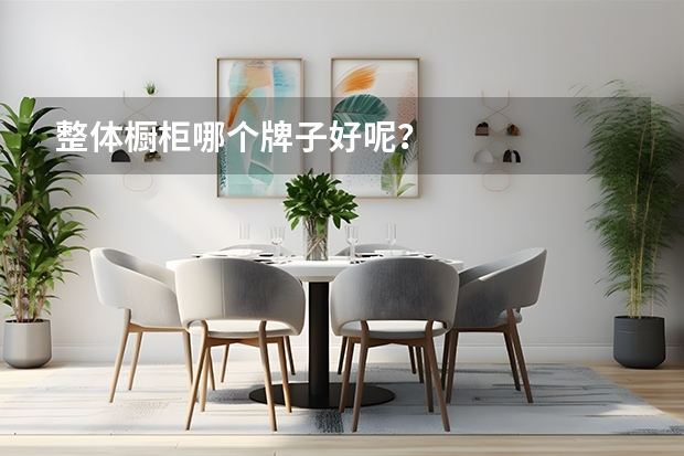 整体橱柜哪个牌子好呢？