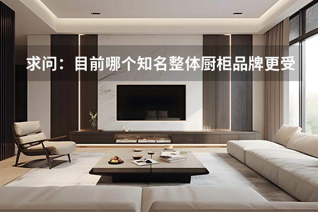 求问：目前哪个知名整体厨柜品牌更受欢迎？
