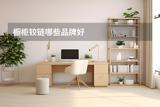 橱柜铰链哪些品牌好