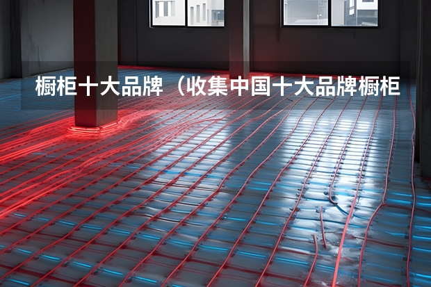 橱柜十大品牌（收集中国十大品牌橱柜）