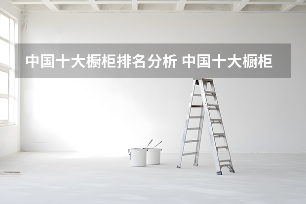 中国十大橱柜排名分析 中国十大橱柜中的前四强介绍 橱柜十大品牌排名