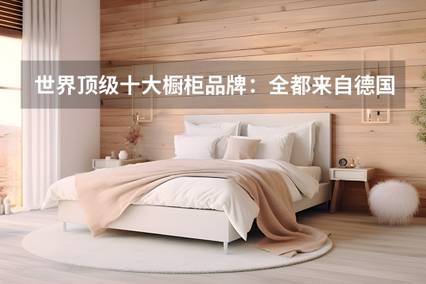 世界顶级十大橱柜品牌：全都来自德国意大利，BERLONI第二 不锈钢橱柜十大名牌