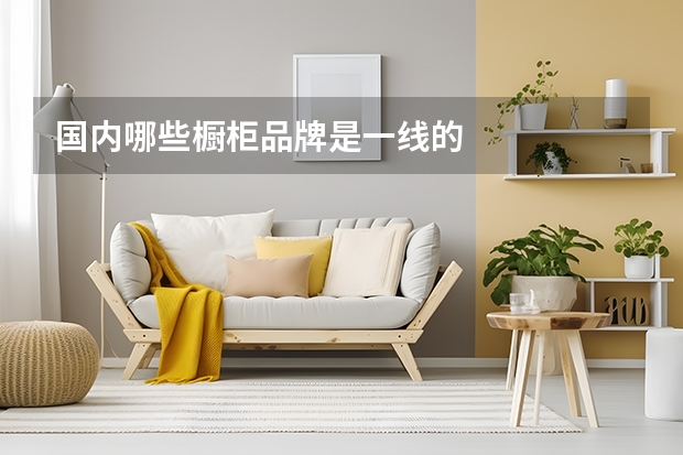 国内哪些橱柜品牌是一线的