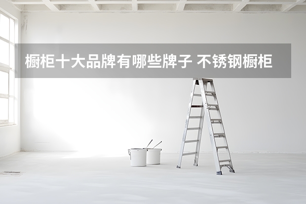 橱柜十大品牌有哪些牌子 不锈钢橱柜十大名牌