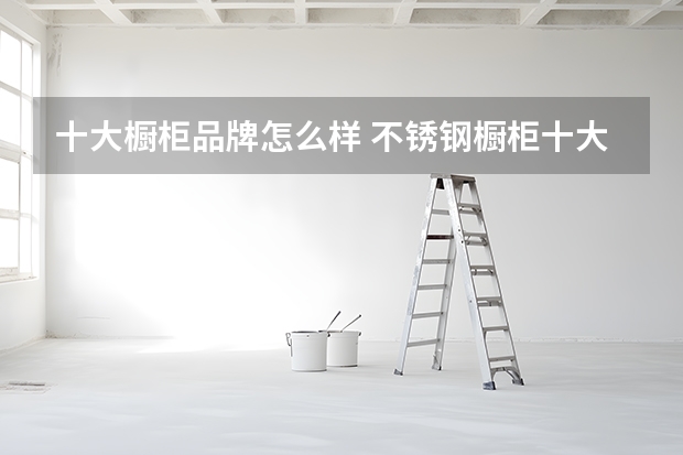 十大橱柜品牌怎么样 不锈钢橱柜十大名牌