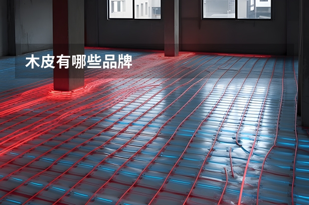 木皮有哪些品牌