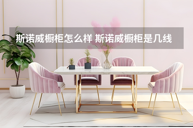 斯诺威橱柜怎么样 斯诺威橱柜是几线品牌