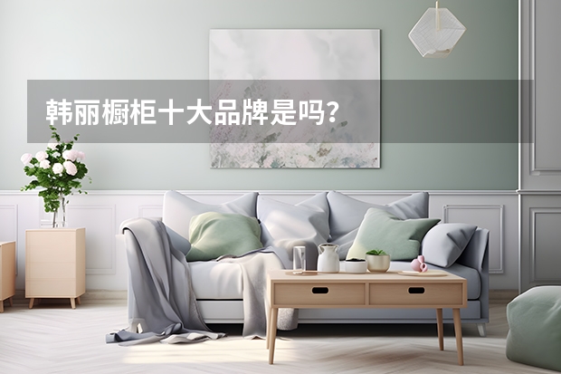 韩丽橱柜十大品牌是吗？