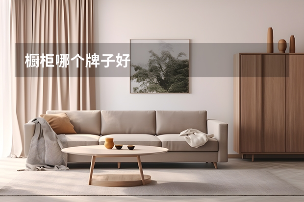 橱柜哪个牌子好