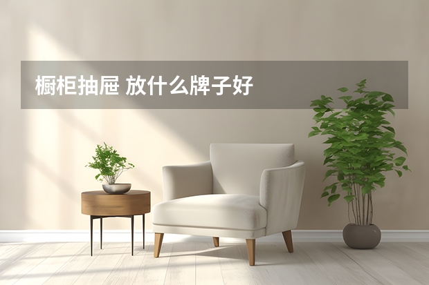 橱柜抽屉 放什么牌子好