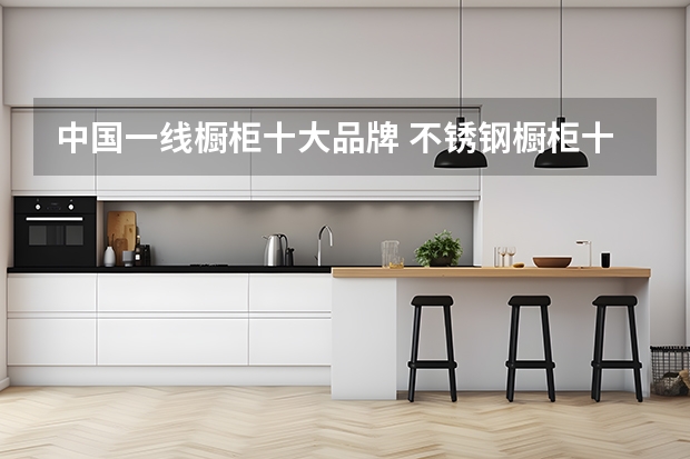中国一线橱柜十大品牌 不锈钢橱柜十大名牌