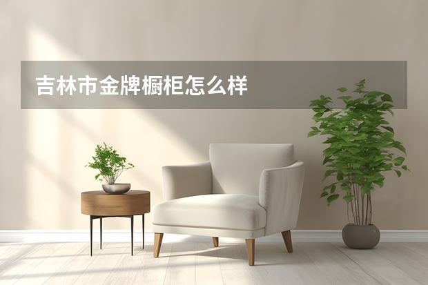 吉林市金牌橱柜怎么样
