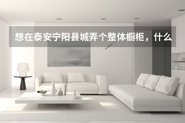 想在泰安宁阳县城弄个整体橱柜，什么品牌好接受？跪谢
