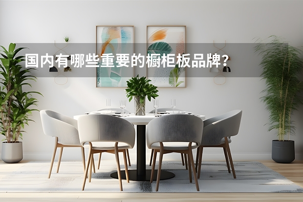 国内有哪些重要的橱柜板品牌？
