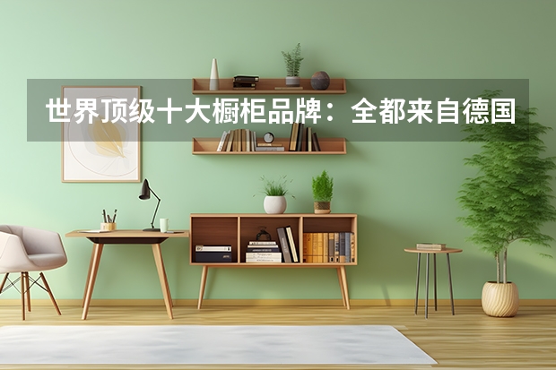 世界顶级十大橱柜品牌：全都来自德国意大利，BERLONI第二 定制橱柜的十大品牌