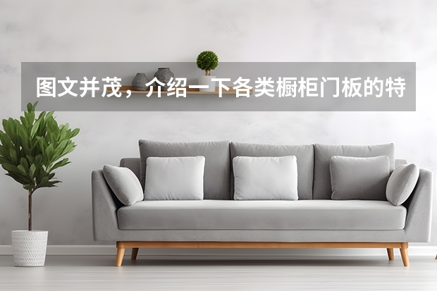 图文并茂，介绍一下各类橱柜门板的特点 烤漆橱柜门板好不好
