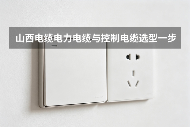 山西电缆电力电缆与控制电缆选型一步走错全盘返工